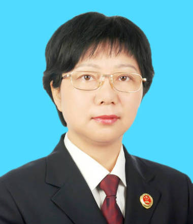 【安徽】薛江武:主动适应经济社会发展新常态