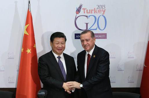 G20ʵ ۽Ϳֲ