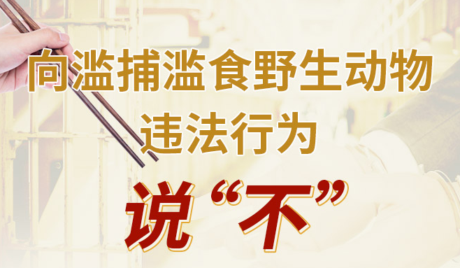 ۽Ұﱣ޶:ס