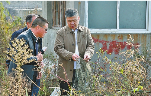 ʡԺڰ˼첿