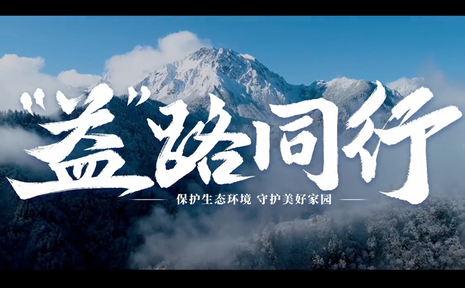 桱·ͬ