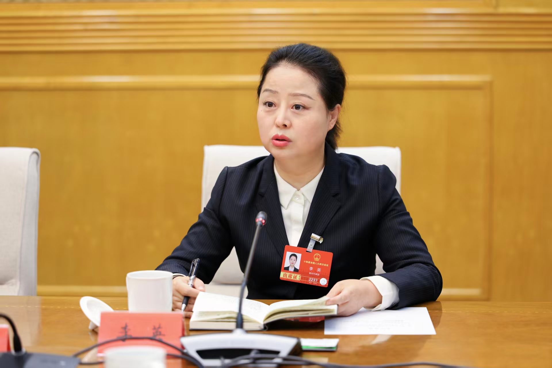 李英代表：打造世界范围内司法文明新标杆