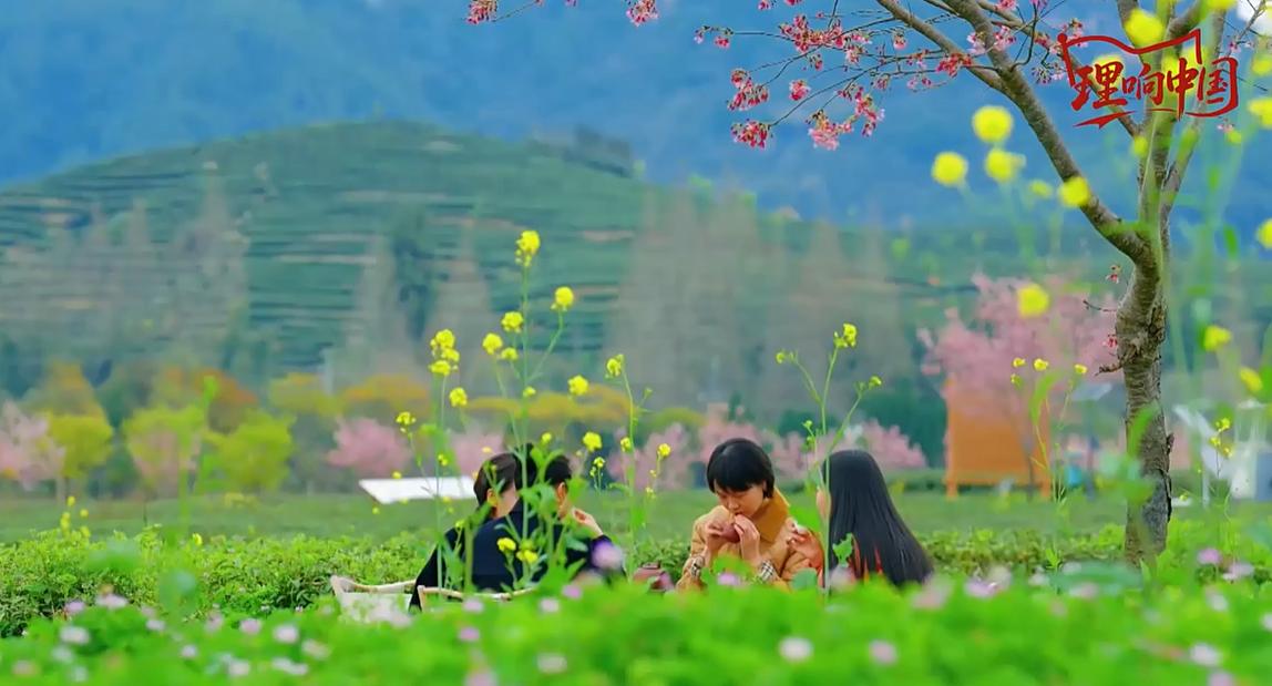 【理响中国·幸福有“理”】天眼地网,守护山海有智慧 【理响中国·幸福有“理”】天眼地网,守护山海有智慧