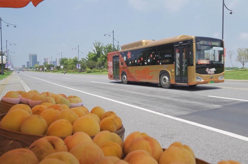 101路公交驶向三星村。嘉兴市委宣传部供图
