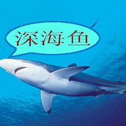 ʵ